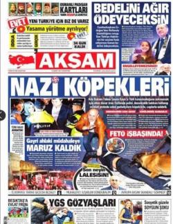 "Nazi Dogs": Turkey Prepares Sanctions Against The Netherlands 