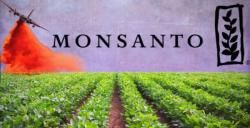 Another Monsanto Pesticide Draws Fire As Farmers Break Out In Rashes