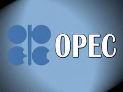 Stops Are Good, Especially in the Oil Market Feb. 3, 2016 (Video) Stops Are Good, Especially in the Oil Market Feb. 3, 2016 (Video)