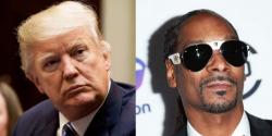 Trump Responds To Snoop Dogg Assassination Video: “Jail Time!” Trump Responds To Snoop Dogg Assassination Video: “Jail Time!”