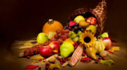 Rediscovering America: A Quiz On Thanksgiving