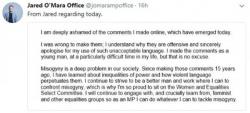 UK MP Jared O'Mara - Grovelling Apology For Sick Comments About Women, Gay Men, & Fat People
