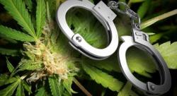 The FBI Just Stopped Publishing Data On America's Ridiculous Marijuana Arrest Rates