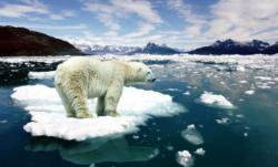 Calls To Imprison "Climate Change Deniers" Grow In The Wake Of Hurricane Irma Calls To Imprison "Climate Change Deniers" Grow In The Wake Of Hurricane Irma