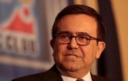 Mexico's Finance Minister Warns Mexican Companies "Not To Participate In Construction Of The Wall" Mexico's Finance Minister Warns Mexican Companies "Not To Participate In Construction Of The Wall"
