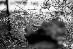 Improving the (Mole) Economy One Broken Window at a Time Improving the (Mole) Economy One Broken Window at a Time