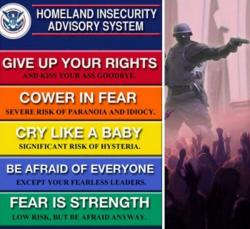 Homeland Insecurity