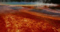 Ominous Earthquake Swarm At Yellowstone Supervolcano Now One Of Longest Ever Recorded Ominous Earthquake Swarm At Yellowstone Supervolcano Now One Of Longest Ever Recorded