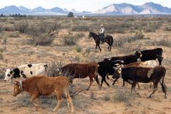The Best Deal Going: Privatize U.S. Public Lands The Best Deal Going: Privatize U.S. Public Lands