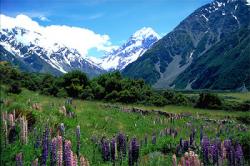 Currency Analysis - New Zealand Dollar versus US Dollar (Video) Currency Analysis - New Zealand Dollar versus US Dollar (Video)