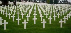 In Memoriam, 2017 In Memoriam, 2017