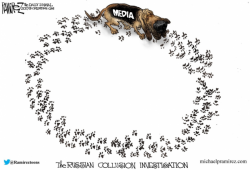 Visualizing The Russian Collusion Investigation's Progress Visualizing The Russian Collusion Investigation's Progress
