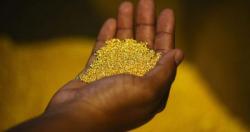 El-Erian: Why Gold Is Less Of A Haven These Days