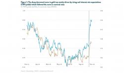 The Gold Sell-off: How far might it go?