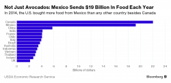 Avocados, Beer, Chilli Peppers And Tequilla: Expect Soaring Prices Under A Mexican Border Tax