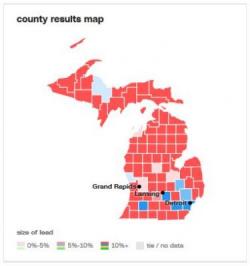 Mass Detroit Voter Fraud? - 37% Of Precincts Counted More Ballots Than Voters