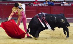 Options Traders Furiously BFTD! Options Traders Furiously BFTD!