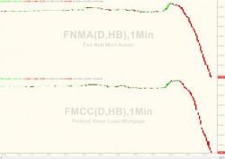 Fannie, Freddie Plunge After Court Rules Hedge Funds Can't Sue
