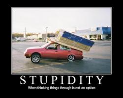 I Am Long Stupidity