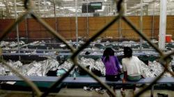 70% Of Immigrants Admitted Under Obama's "Minor Refugee" Program Are Actually Adults 70% Of Immigrants Admitted Under Obama's "Minor Refugee" Program Are Actually Adults