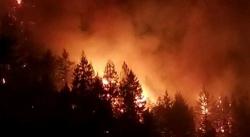 Dozens Still Missing As Wine Country Wildfires Wane; New Fire Erupts In Santa Cruz