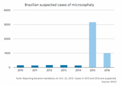 Brazil Grants Forced Entry Into Private Properties To Hunt Zika Virus