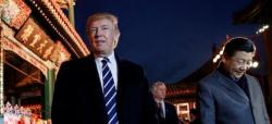 Trump Receives Hero's Welcome In Beijing As Chinese Roll Out The Red Carpet Trump Receives Hero's Welcome In Beijing As Chinese Roll Out The Red Carpet