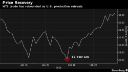 Oil Rebounds After IEA Says Price "Bottomed" As Goldman Warns Of "Sharply Lower" Prices As Storage Fills