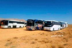 The Stranded ISIS Bus Convoy That No One Knows What To Do With The Stranded ISIS Bus Convoy That No One Knows What To Do With