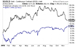 The Gold Bears Are in For a Massive Surprise