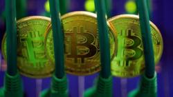 What Jamie Dimon Got Wrong About Bitcoin & Tulips What Jamie Dimon Got Wrong About Bitcoin & Tulips