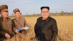 Russia Increases Economic Support For North Korea As China Backs Away Russia Increases Economic Support For North Korea As China Backs Away