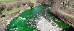 Millions Of Spanish Fear Government Poisoning As River Turns Green Millions Of Spanish Fear Government Poisoning As River Turns Green